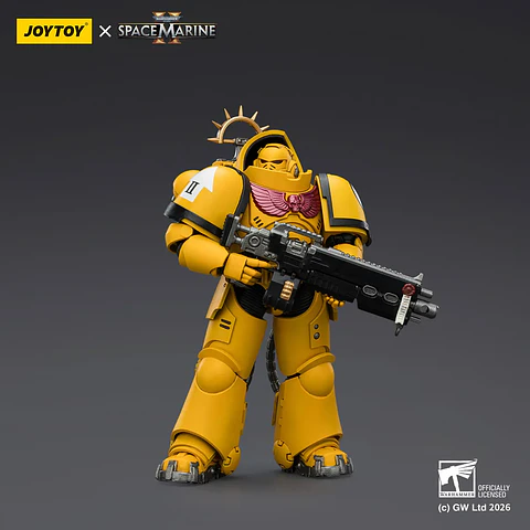 Imperial Fists Intercesor Pesado Con Rifle Pesado de Perno y Pistola de Perno