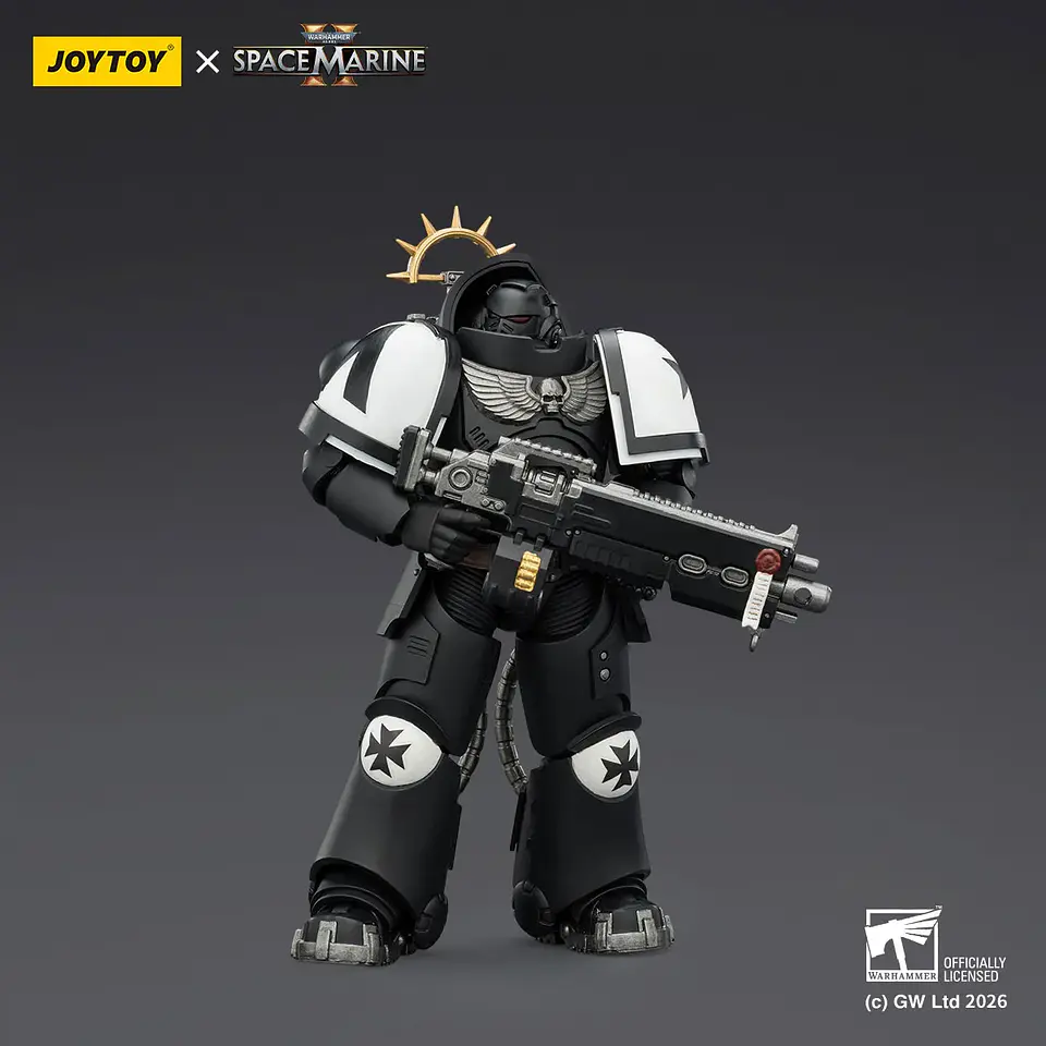 Black Templars Intercesor Pesado Con Rifle Pesado de Perno y Pistola de Perno 1