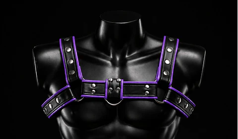 ARNES EN CUERO NEGRO MORADO