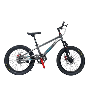 Bicicleta MTB Niños Aro 20