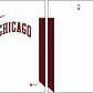 NBA Chicago Bulls 2022-2023 - Thumbnail 2