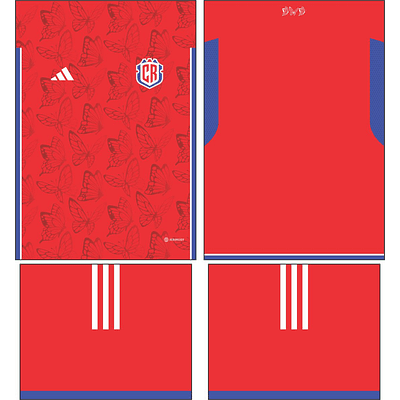 Arte Vetor Camisa  Costa Rica Conceito 2023-4