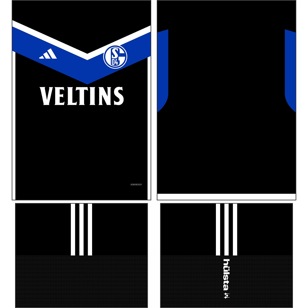 Schalke 04 Alternativa 2023-2024