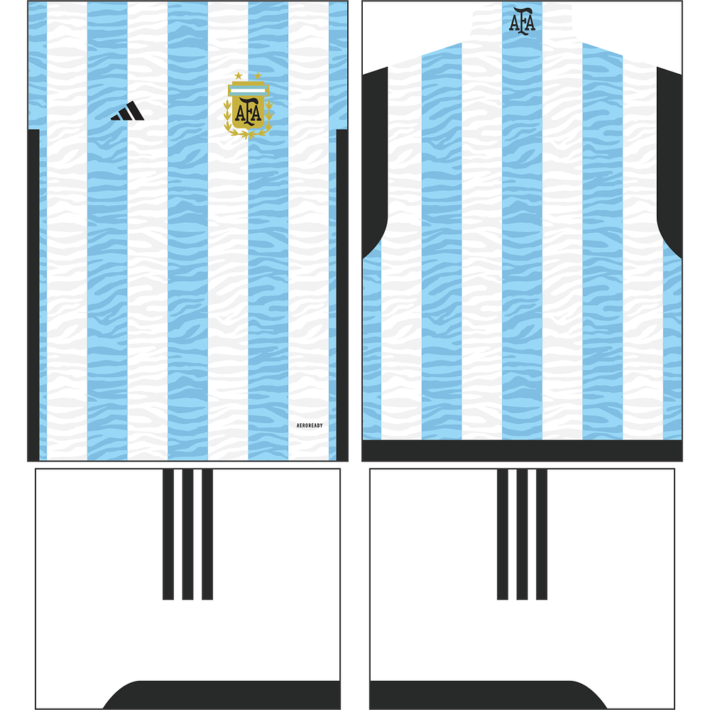 Arte Vetor Camisa Argentina Conceito 2023-5