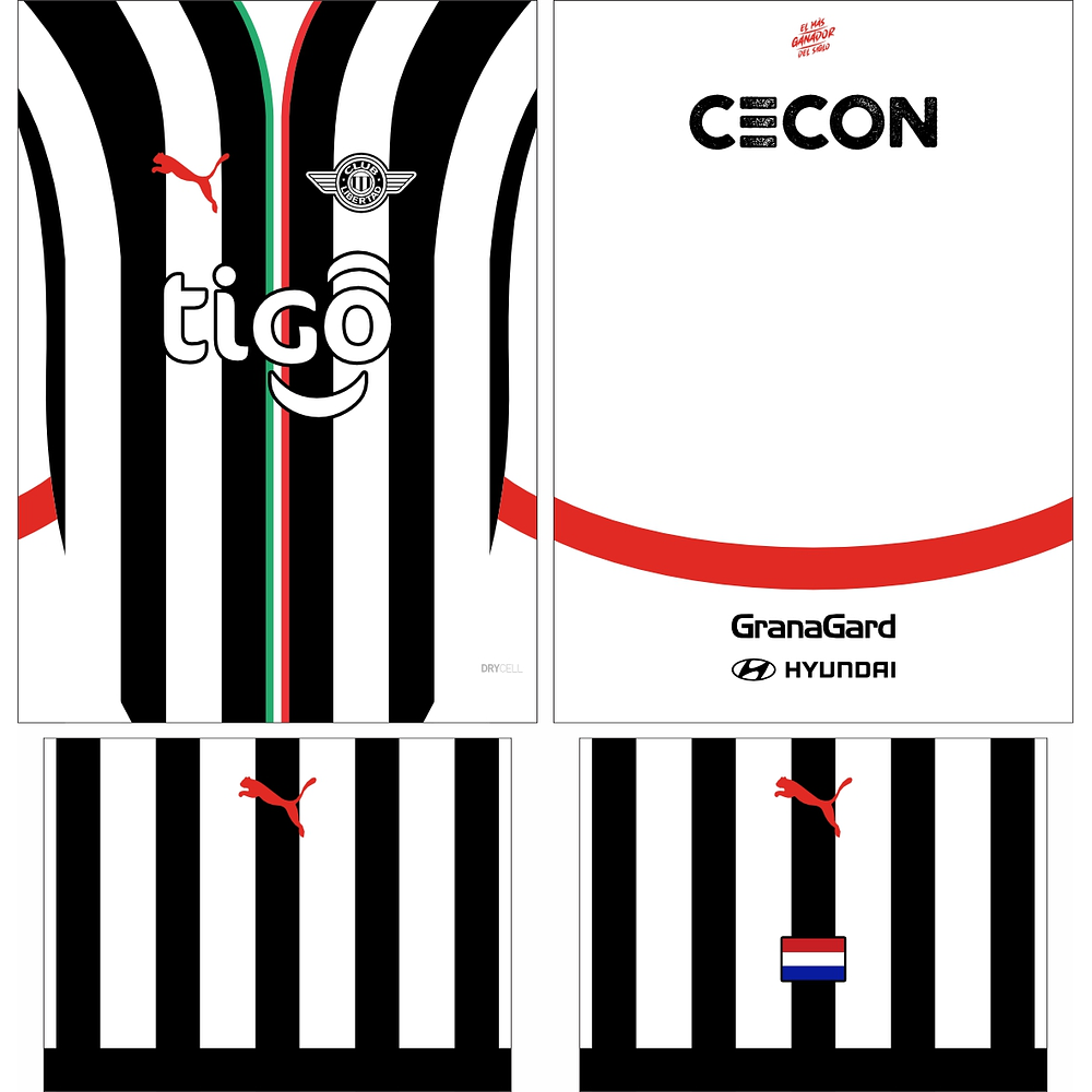 Arte Vetor Camisa Club Libertad Local 2024-2025