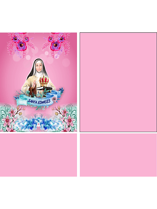 Arte Vetor Camisa Santa Edwiges