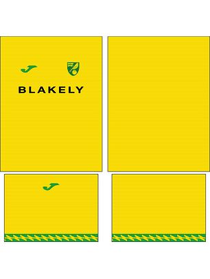 Arte Vetor Camisa Norwich City Local 2025-2026