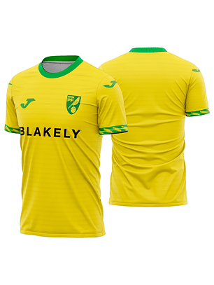 Arte Vetor Camisa Norwich City Local 2025-2026
