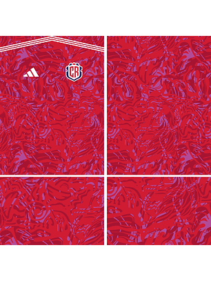 Arte Vetor Camisa Costa Rica Local World Cup 2026