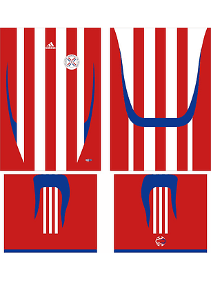 Arte Vetor Camisa Paraguay Local 2007