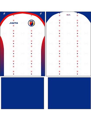 Arte Vetor Camisa Haiti Visita 2025-2026