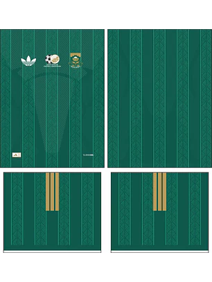 Arte Vetor Camisa Africa do sul visita 2026