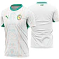 Arte vetor camisa Senegal Titular 2026-28 - Thumbnail 1