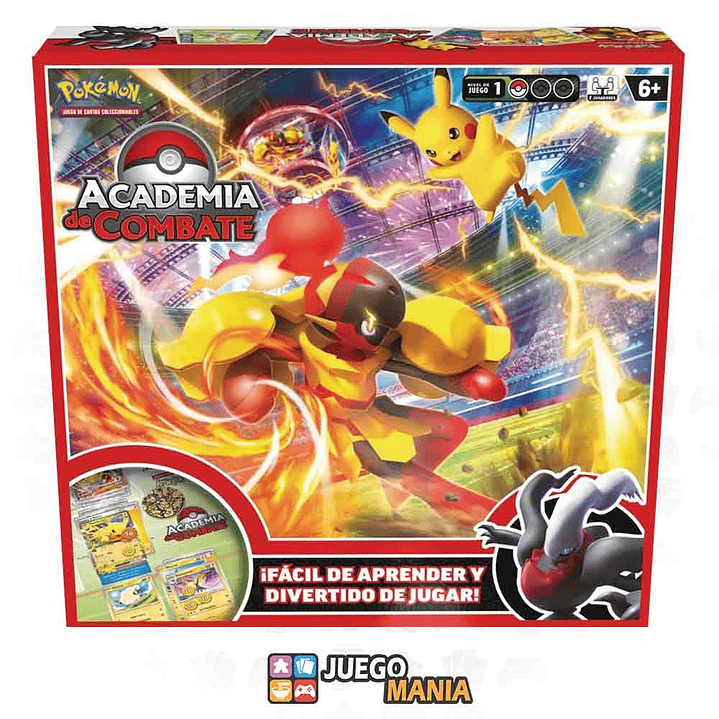 Academia de Combate 2024 1