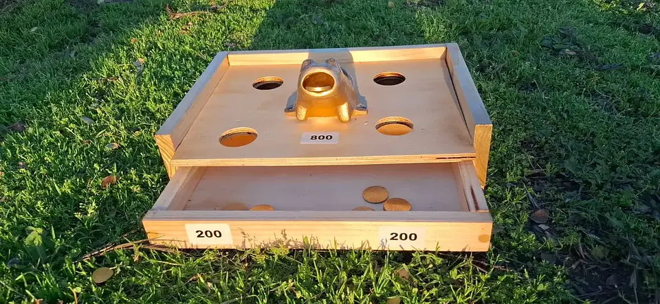 Juego de la Rana + 8 tejos 2