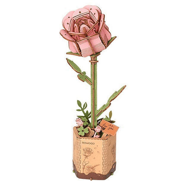 Pink Rose 