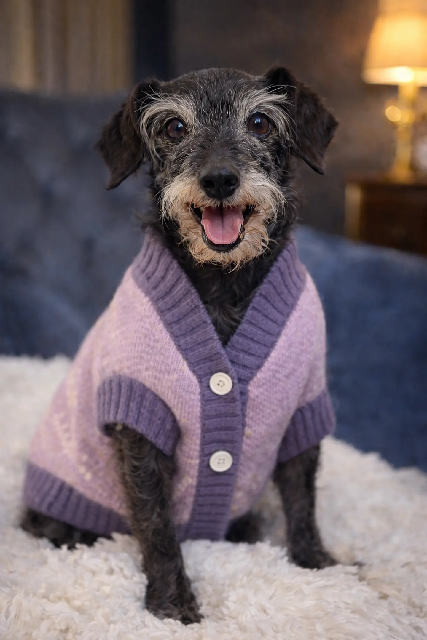 Chaleco Daisy Cozy 2