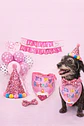 Set cumpleaños 🐶💕 - Miniatura 3