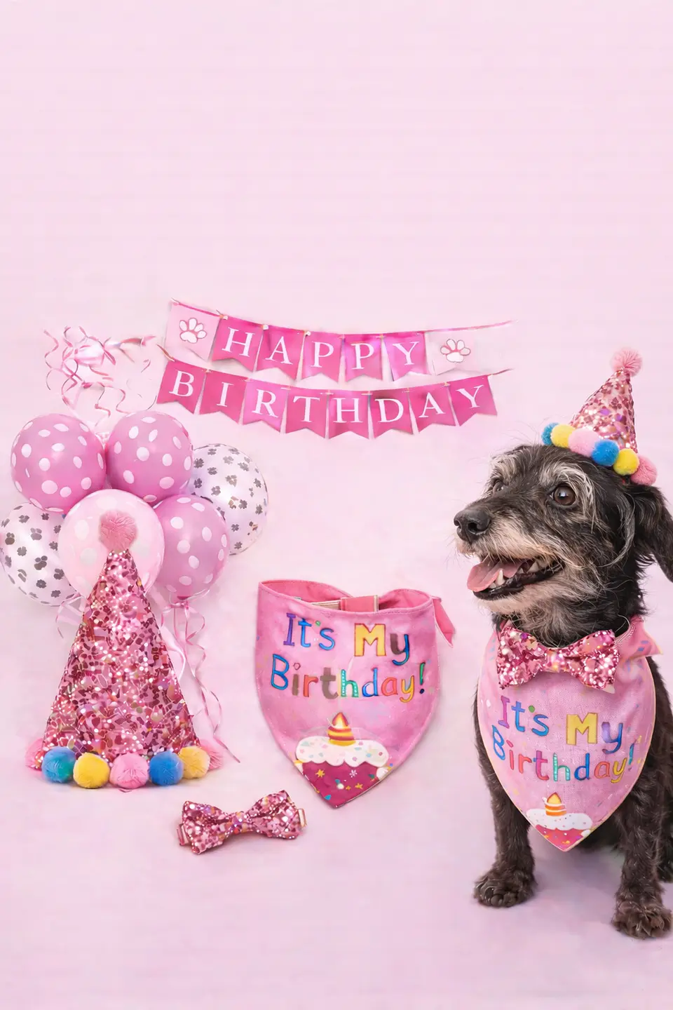 Set cumpleaños 🐶💕 3