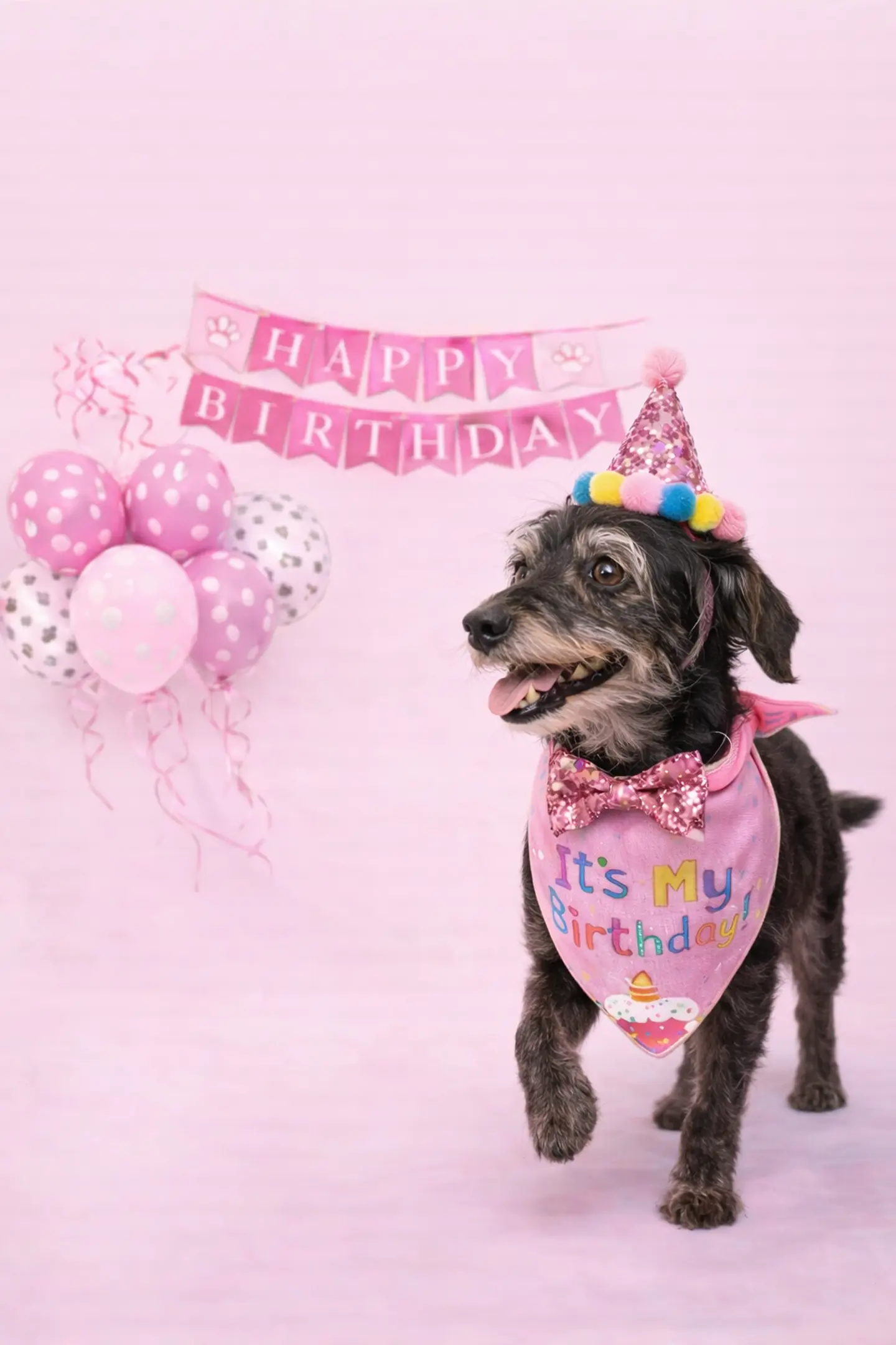 Set cumpleaños 🐶💕 4