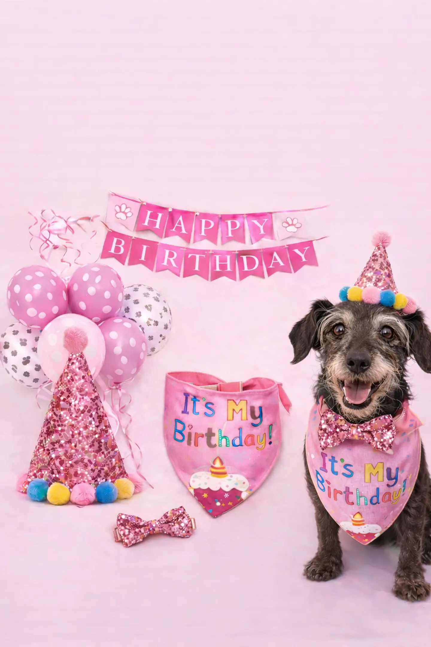 Set cumpleaños 🐶💕 1