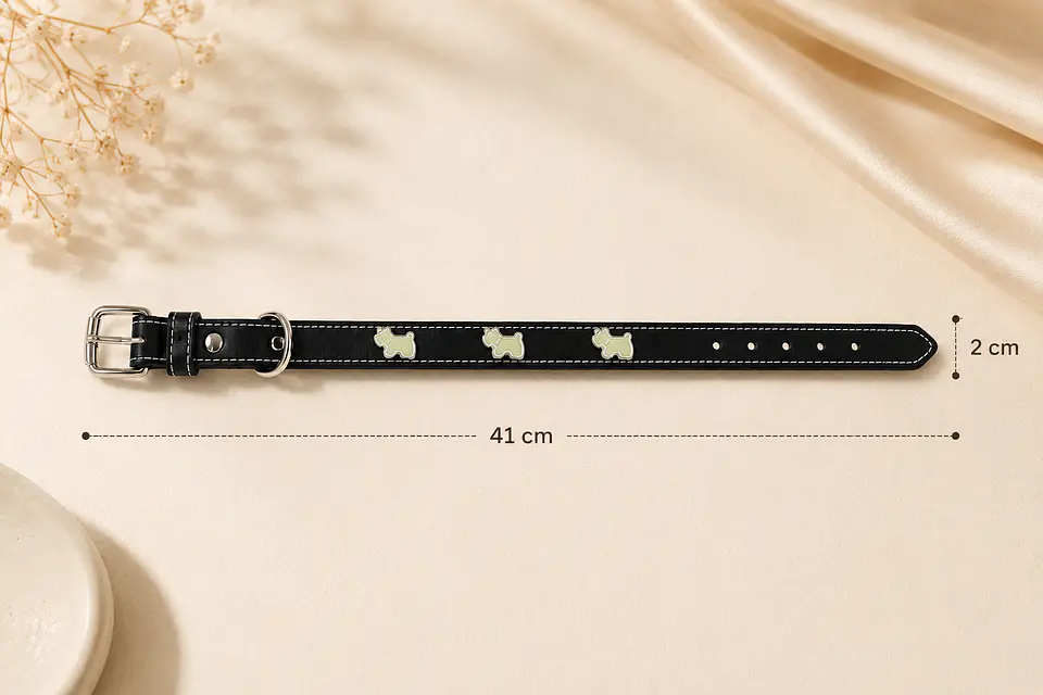 Collar Elegance Black 1