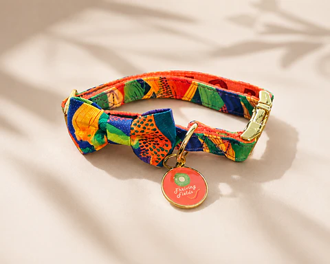 Collar Tropical Bloom