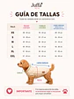 Dino Cloud Hoodie - Miniatura 3