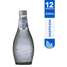 Agua Mineral Gasificada Puyehue: 12 botellas 330ml