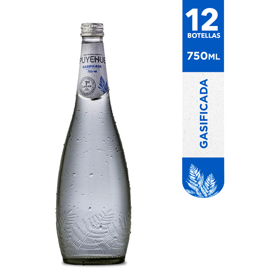 Agua Mineral Gasificada Puyehue: 12 botellas formato vidrio 750ml 1