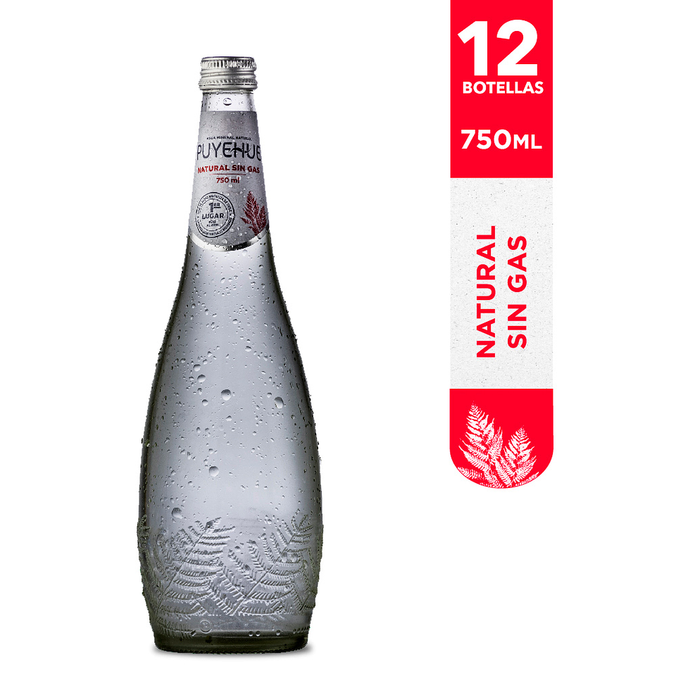 Agua Mineral Sin Gas Puyehue: 12 botellas formato vidrio 750ml 1