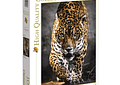 Puzzle 1000 Piezas - Paseo del Jaguar