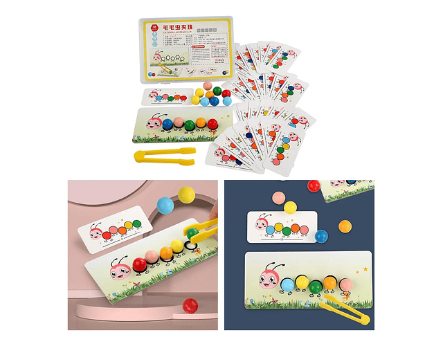 Oruga clasificación de colores