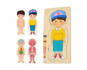 Rompecabezas Cuerpo Humano de Madera