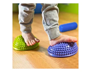 Mini Bosu Erizo