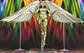  S.H Figuarts, Wonder Woman Golden Armor -WW84 - Miniatura 4