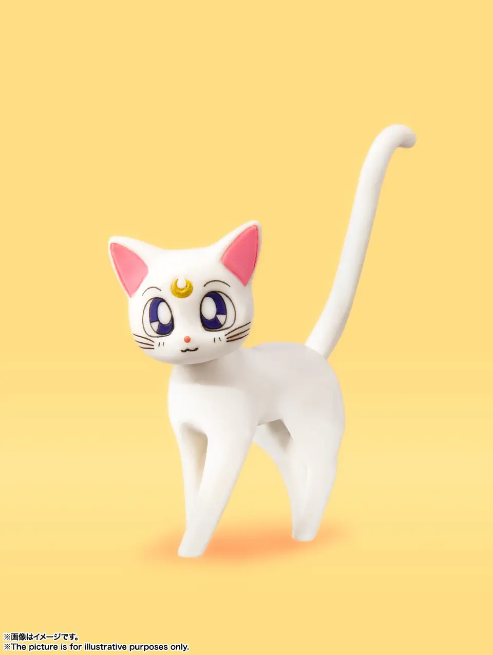 Sh Figuarts Sailor Venus Animation Color Edition 5