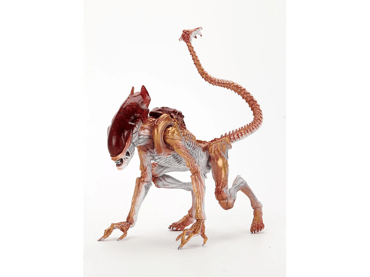 Panther Alien, Aliens - Neca 2