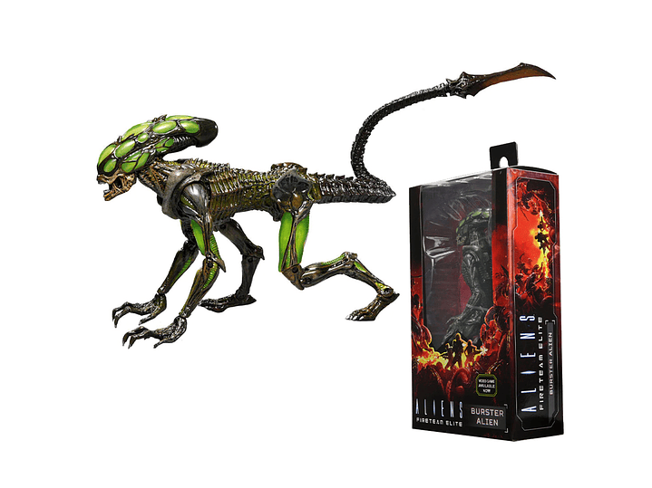 Burster Alien, Alien Fireteam Elite - Neca 2