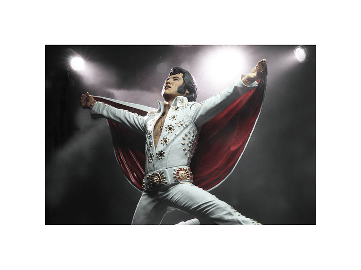Elvis on Tour, Commemorative Action Figure - Neca 2