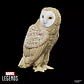 Marvel's Owl, Spider-Man Retro Collection - Marvel Legends - Miniatura 6