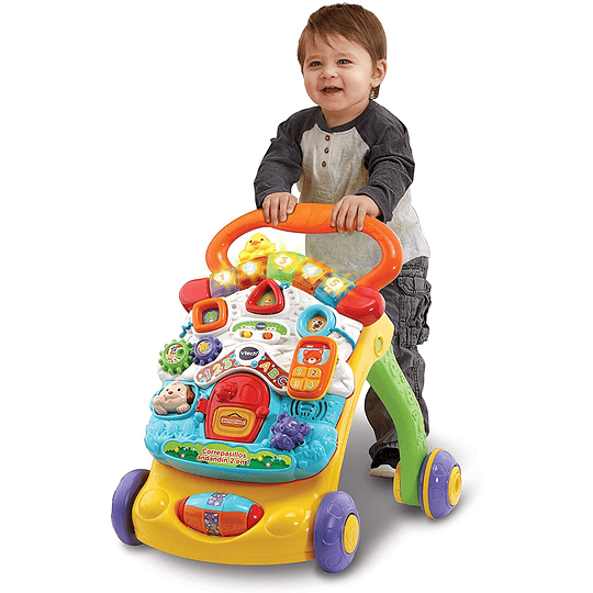 Correpasillos Andandín 2 en 1 Vtech baby