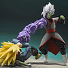 Future Trunks vs Fusion Zamasu Dragon Ball Super Stars