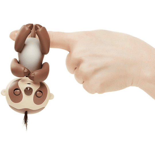 Fingerling Kingsley perezoso