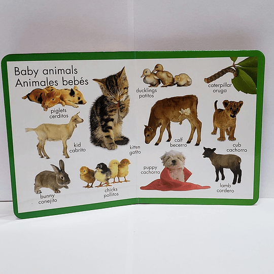 Primeros Animales - Primera enciclopedia English / español para Niños