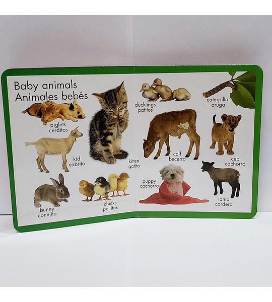 Primeros Animales - Primera enciclopedia English / español para Niños