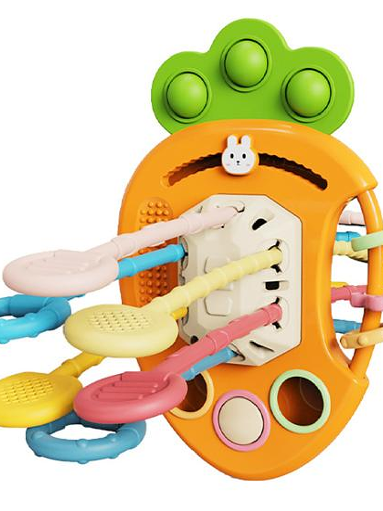 Zanahoria sensorial 1