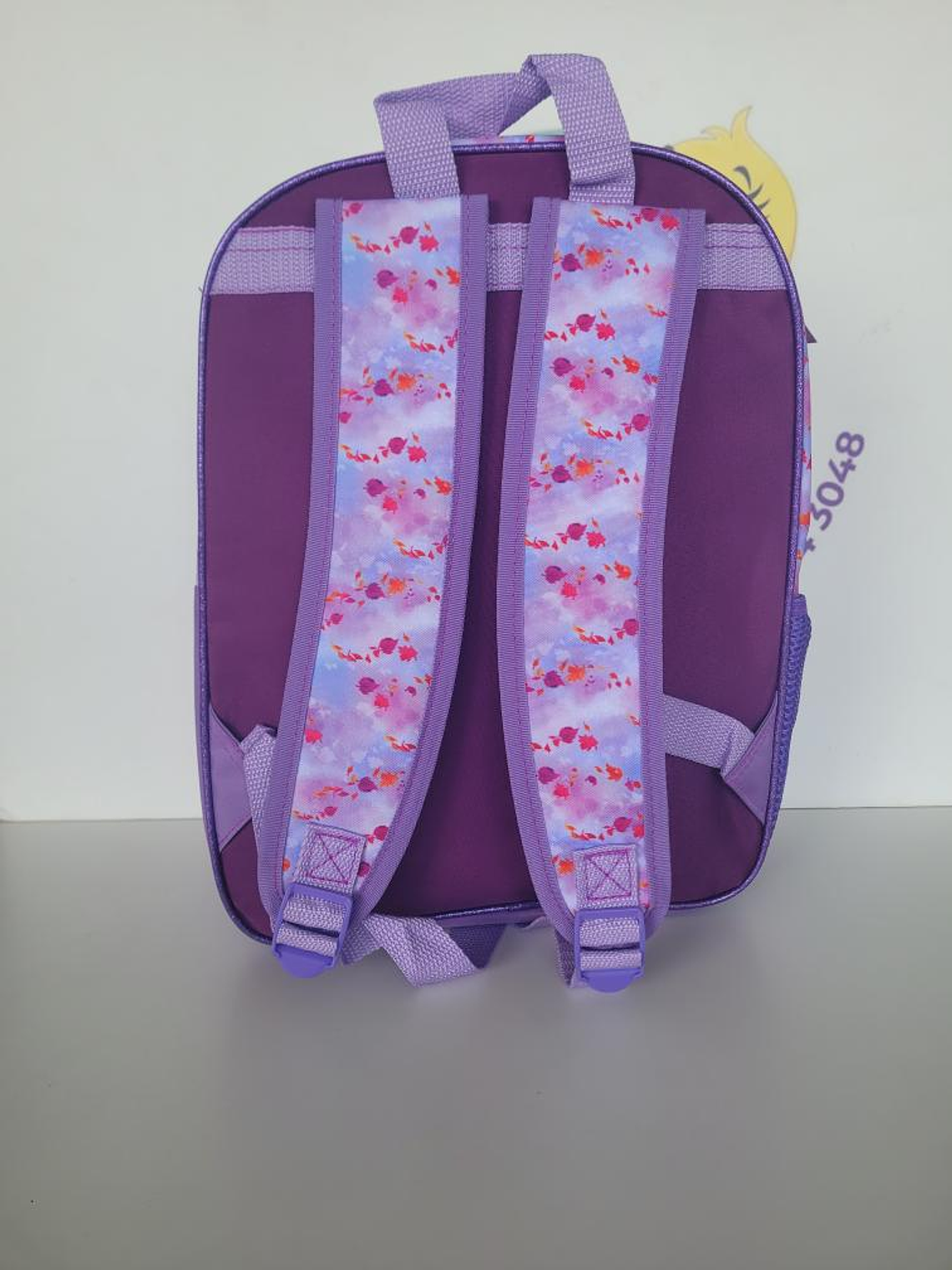 Mochila Frozen Bordado 38x27 4
