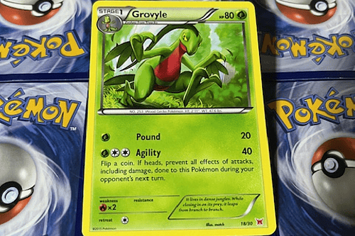 Grovyle