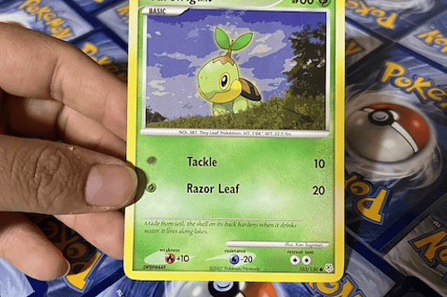 Turtwig